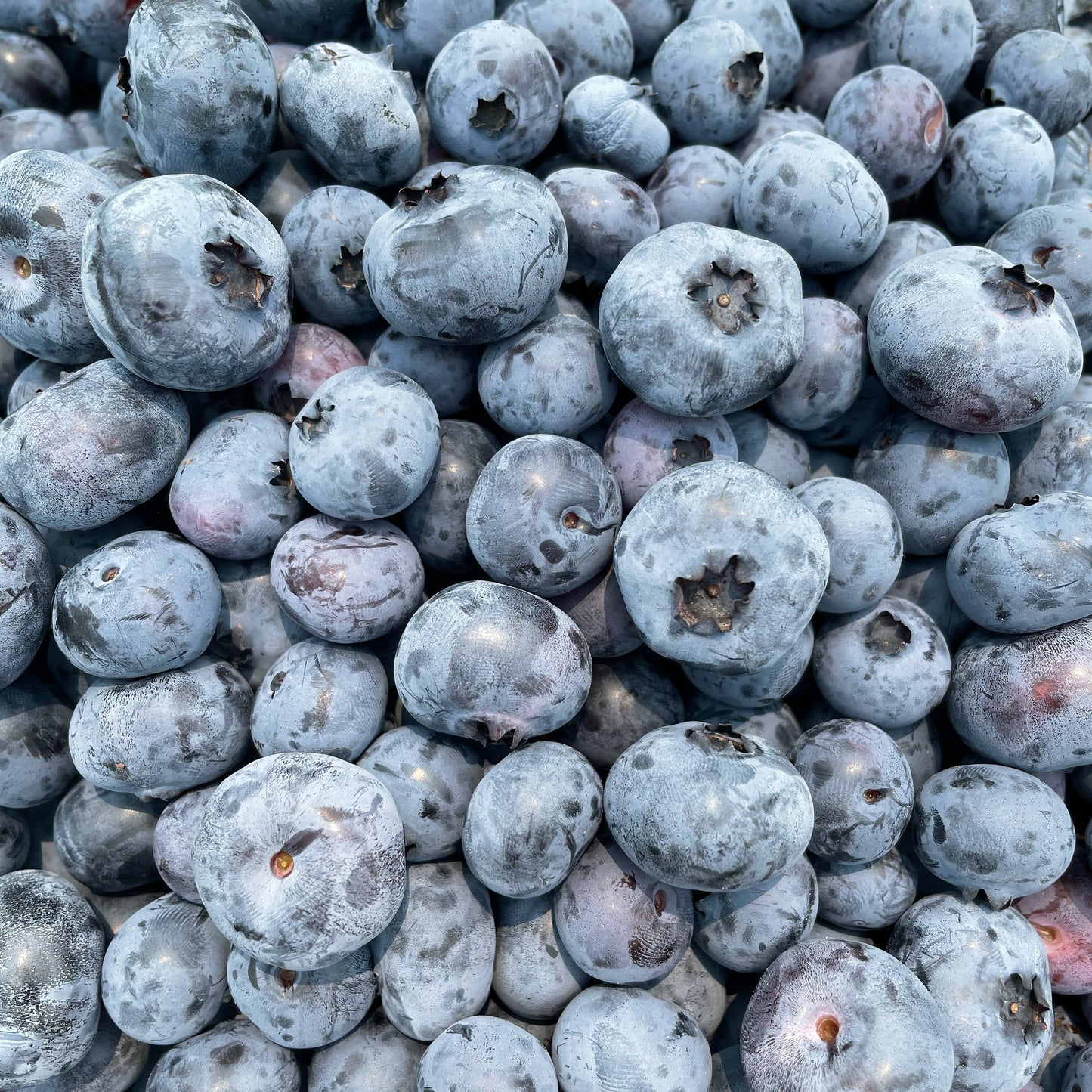 Blueberry-Violet Jam