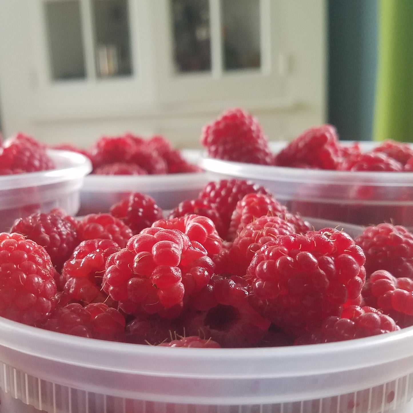Red Raspberry Jam