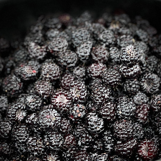 Black Raspberry Jam