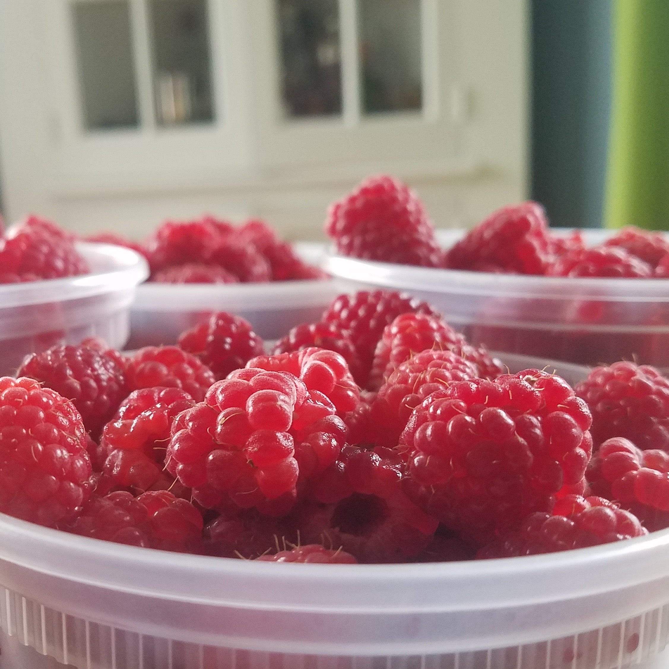 Red Raspberry Jam - Award-Winning Organic | Blossom Meadow Farm